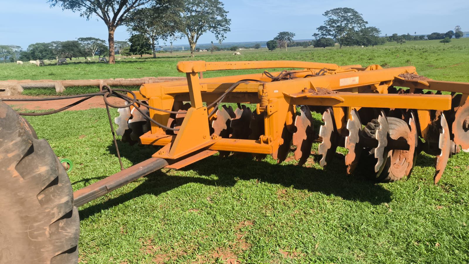 Grade Tatu Marchesan GAICR – Ano 2011