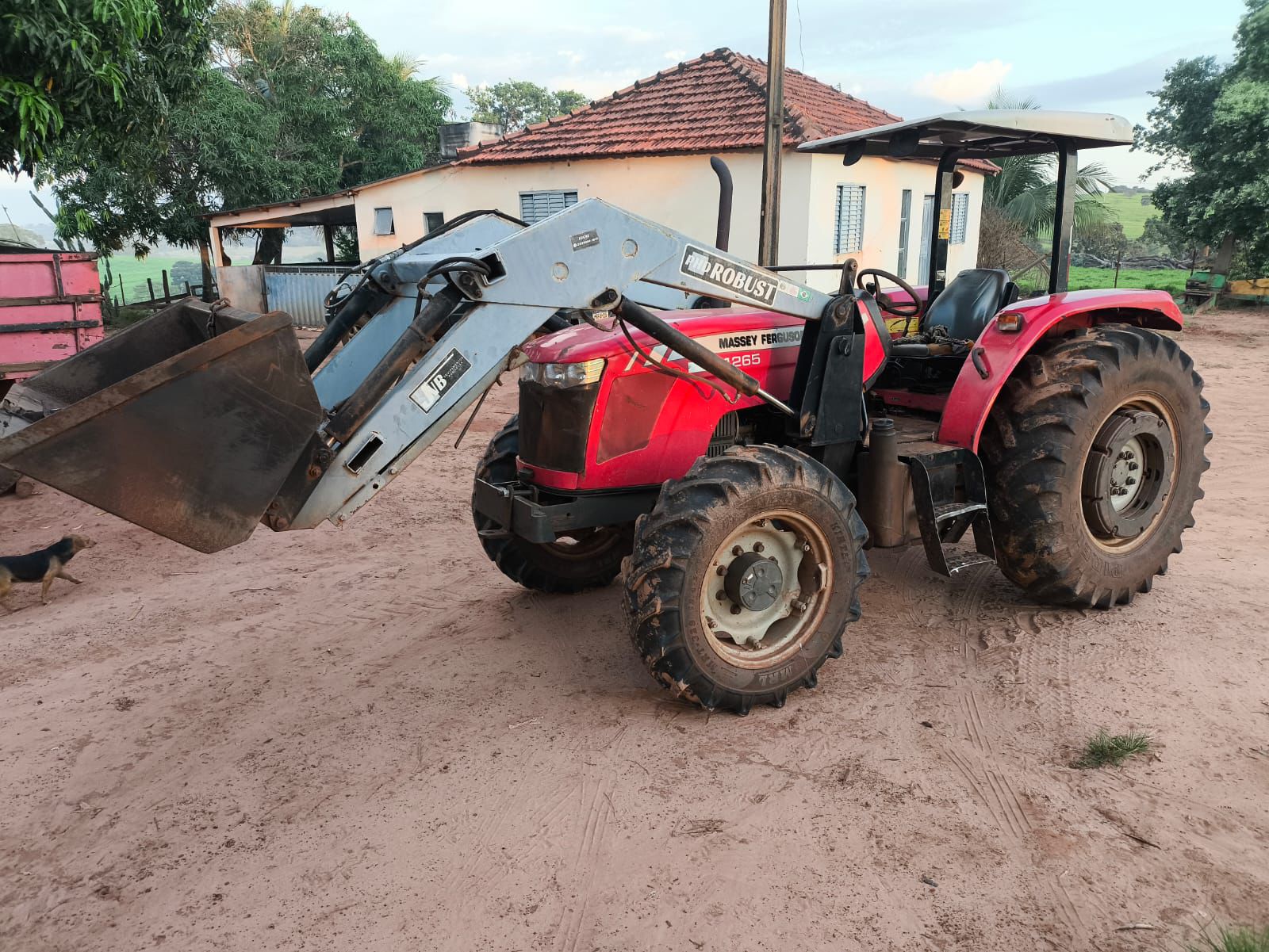 Trator Massey Ferguson 4265